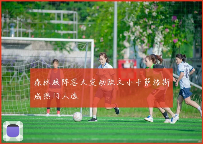 森林狼阵容大变动欧文小卡萨格斯成热门人选